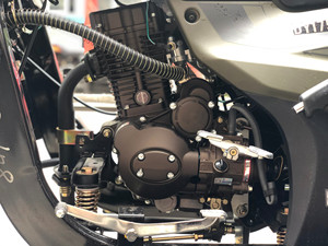 Vehículo de saneamiento de alta calidad, vehículo <span class=keywords><strong>chopper</strong></span> tipo triciclo de 200CC/250CC, larga duración, venta al por mayor, precio favorable - Product Image 5