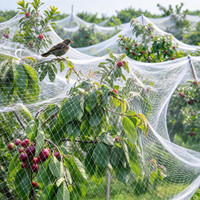 Filet anti-oiseaux robuste de 1 pouce pour la gestion de la faune sauvage du cacaoyer, la protection des vergers et le contrôle des vignobles