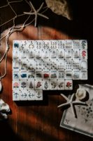 Nouveau jeu de Mahjong américain nautique côtier, 160 tuiles, construction en acrylique à 4 couches, tuiles décoratives Joker et Fleurs pour la maison
