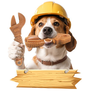 Üretici toptan Pet ürün temiz dişler dayanıklı köpek çiğnemek oyuncak - Product Image 5