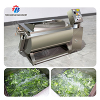 Commerciële Aardappelkool Salade Tomaat Reinigingsmachine Fruit Wasmachine Apparatuur
