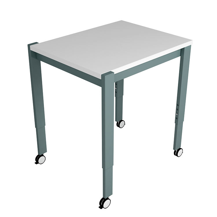 สีที่กำหนดเอง