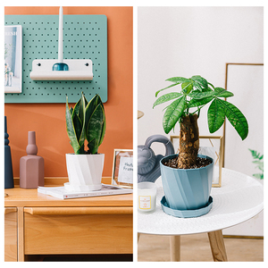 Ruipu ( Pp matériel <span class=keywords><strong>pas</strong></span> <span class=keywords><strong>cher</strong></span> petite plante de bureau d'intérieur Pot de fleurs Pots de jardin Pots de fleurs en plastique et jardinières - Product Image 4