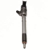 0445110081/ 0 445 110 081 Inyector de Combustible Common Rail, Inyector de Inyección Diesel 0445110231 0445110336 0 445 110 336