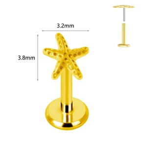 ASTM F136 G23 التيتانيوم Labret ثقب نجم البحر القرط عشيق النحل دفع في CZ Threadless الغضروف 16/18/20G مجوهرات الجسم - Product Image 2