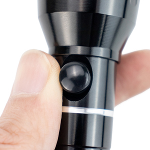 Độ sáng 1AA sạc DC Sạc đèn pin mà không cần pin chất lượng tốt XPE LED <span class=keywords><strong>Torch</strong></span> ánh sáng - Product Image 4