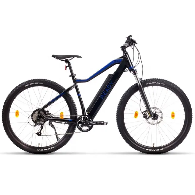 Vélo électrique 10ah 36V/48V, 250W/350W/500W, fabricant chinois