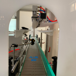 Machine de remplissage automatique à 6 têtes avec conception anti-corrosion pour le remplissage de liquides tels que le blanchiment et le remplissage de bouteilles en plastique - Product Image 3