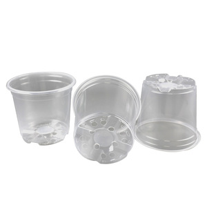 Bac respirant en plastique rigide haute transparence <span class=keywords><strong>pour</strong></span> semis d'orchidées Phalaenopsis, succulentes et Dendrobium Officinale, avec contrôle des racines - Product Image 3