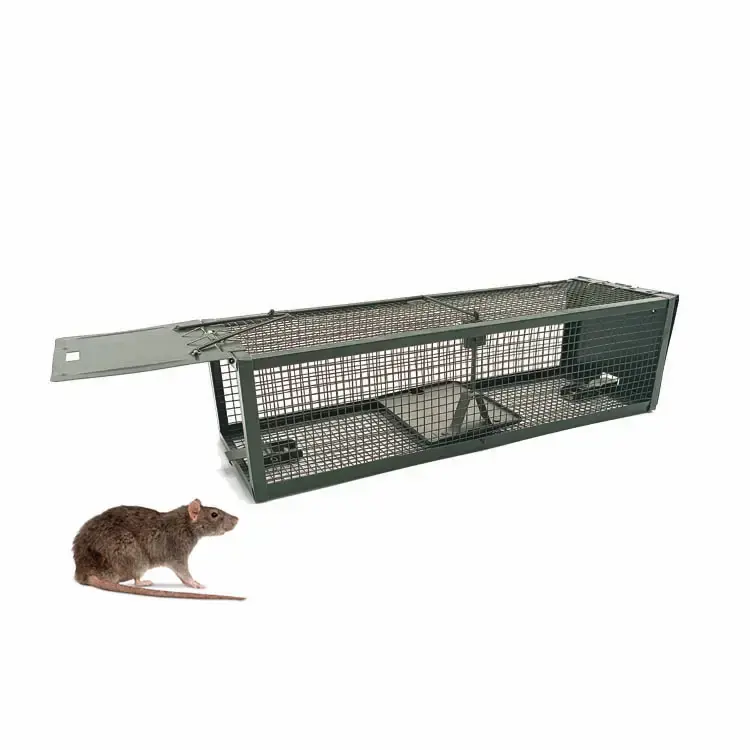 Double Door Humane Rodent Control Animal Trap Steel Cage Metal Rat Trap Cage