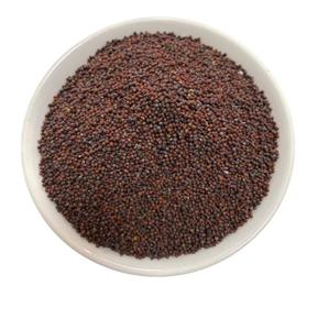 Semence <span class=keywords><strong>de</strong></span> <span class=keywords><strong>moutarde</strong></span> noire séchée crue <span class=keywords><strong>de</strong></span> qualité supérieure pour les épices - Product Image 1