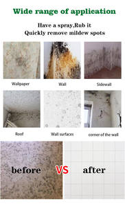 Machine à laver multifonctionnelle pour la salle de bain, agent de pulvérisation pour enlever la moisissure des murs. - Product Image 4