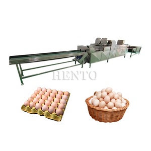 Machine de lavage et de séchage <span class=keywords><strong>des</strong></span> œufs à haute productivité/Machine de cuisson <span class=keywords><strong>des</strong></span> œufs/Machine à décortiquer les œufs à la coque - Product Image 3