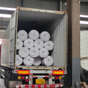 غشاء أرضعي بطانة Hdpe غشاء أرضعي للأحواض - Product Image 6