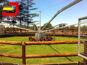 Caballo walker caballo ejercicio/caballo deportistas/caballo - Product Image 4
