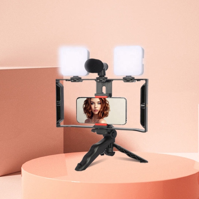 Handheld Mobile Phone Live Streaming Equipment Vlogging Kit Video Voice Recording Vlog Camera With Selfie Light Microphone