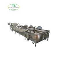 Hotsale QXJ Commerciële Groente- en Fruitwasmachine Industriële Belletjeswasser SUS304 RVS Motor-aangedreven Sojabonen Mais