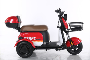 Nouveau Tricycle Urbain 60V pour Adultes 2024, Modèle Ouvert avec Siège Bébé pour Passager - Vente Flash - Product Image 4