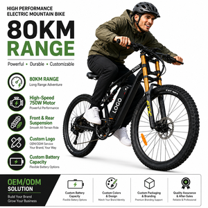 Bicicleta de Montaña DH420 de 27.5 Pulgadas, 750W, 48V, 20Ah, 80km, Cuerpo de Aluminio, Venta al Por Mayor de Fábrica, Motor Dual - Product Image 1