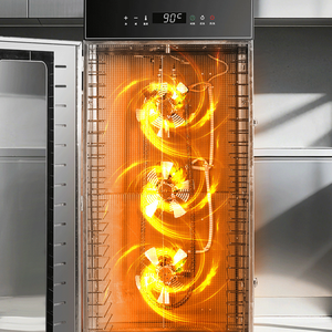 Déshydrateur alimentaire commercial multifonctionnel pour fruits, légumes, viandes, haricots et noix, haute efficacité, qualité professionnelle - Product Image 3