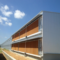 Conception de ferme porcine préfabriquée, nouvelle conception, structure en acier économique, écologique, anti-corrosion