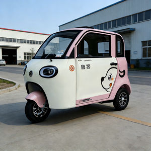 Triciclo Elettrico Economico 60V Tipo Chiuso a 3 Ruote per Trasporto Passeggeri e Mini <span class=keywords><strong>Auto</strong></span> per Adulti - Product Image 2