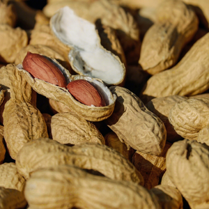Arachides de boulangerie premium, arachides fraîches de boulangerie, noyaux d'arachides de nouvelle récolte, arachides de boulangerie pour l'exportation, arachides de boulangerie - Product Image 1