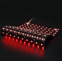 Bande LED flexible 250*500MM DC24V 200 LED/pièce avec IC adressable 5050, panneau rétroéclairé à pixels marbrés avec USB pour l'éclairage paysager