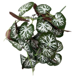 Feiyu Craft <b>Flower</b> Factory Artificial Plant 7-Forked Sweet Potato Begonia Greenery For Indoor <b>Wall</b> Decoration - Product Image 5