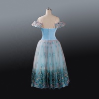 Fille Robe Bleu Clair Velours Romantique Classique Ballet Longue Robe Ballerine Giselle Danse Une Pièce Floral Ballet Robe