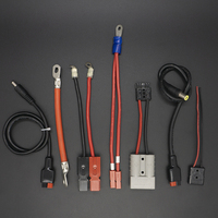 Connecteur de batterie de haute qualité, fabrication sur mesure, connecteur solaire/pince crocodile, faisceau de câblage pour automobiles