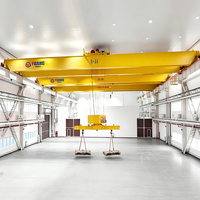 Grue à double poutre à fréquence variable avec suppression des oscillations et positionnement de haute précision