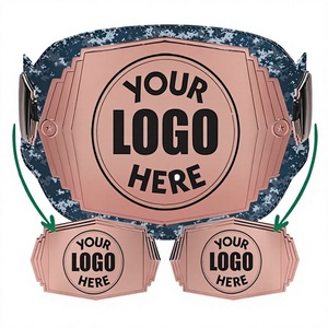 Cinturón de Campeonato Personalizado, Trofeo de Campeón de Lucha Libre, MMA, Boxeo, Kickboxing, Placa de Metal, Cuero Genuino - Product Image 1