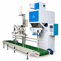 Machine d'emballage semi-automatique pour granulés (grains, riz, engrais) – 300-400 sacs/heure – Remplissage et scellage efficaces pour semences de blé