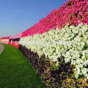 Système de jardinage vertical Dubai Miracle Garden, tour de jardinage vertical, plantes verticales - Product Image 2