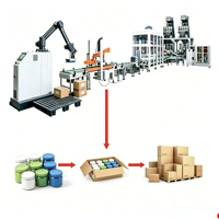 Système d'emballage de fin de ligne de conditionnement : Érigeur de cartons, Emballeuse de caisses enveloppantes, Palettiseur automatique, Équipement robotique