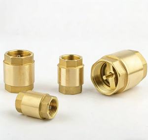 Válvula de Retención Vertical de Latón con Resorte, Manual, para Bombas con Conexiones BSP/NPT, Tamaño de Puerto de 1/2"-2" para Gas y Agua - Product Image 2