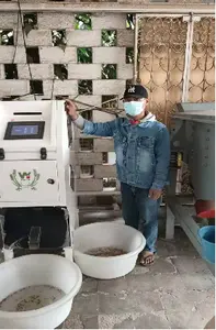 Mini 32 Channels Walnut Color Sorting Machine Walnut Shell And Kernel Separating Machinery With WIFI Remote Control System