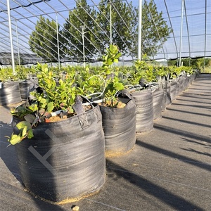 HOKBG, gran oferta, bolsas de cultivo de PP Anti-UV de 7/10/15 galones para macetas de aireación de plantas, permeables al agua, bolsa de maceta transpirable de 30 litros - Product Image 6