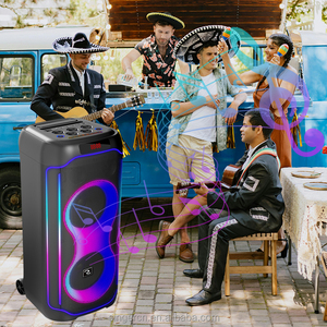 CQS-S6611 Enceinte DJ professionnelle double 8 pouces en plastique avec éclairage RGB, 2 microphones sans fil, promotion usine, grand karaoké - Product Image 6