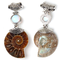 Grand pendentif en forme de coquille d'ammonite naturelle