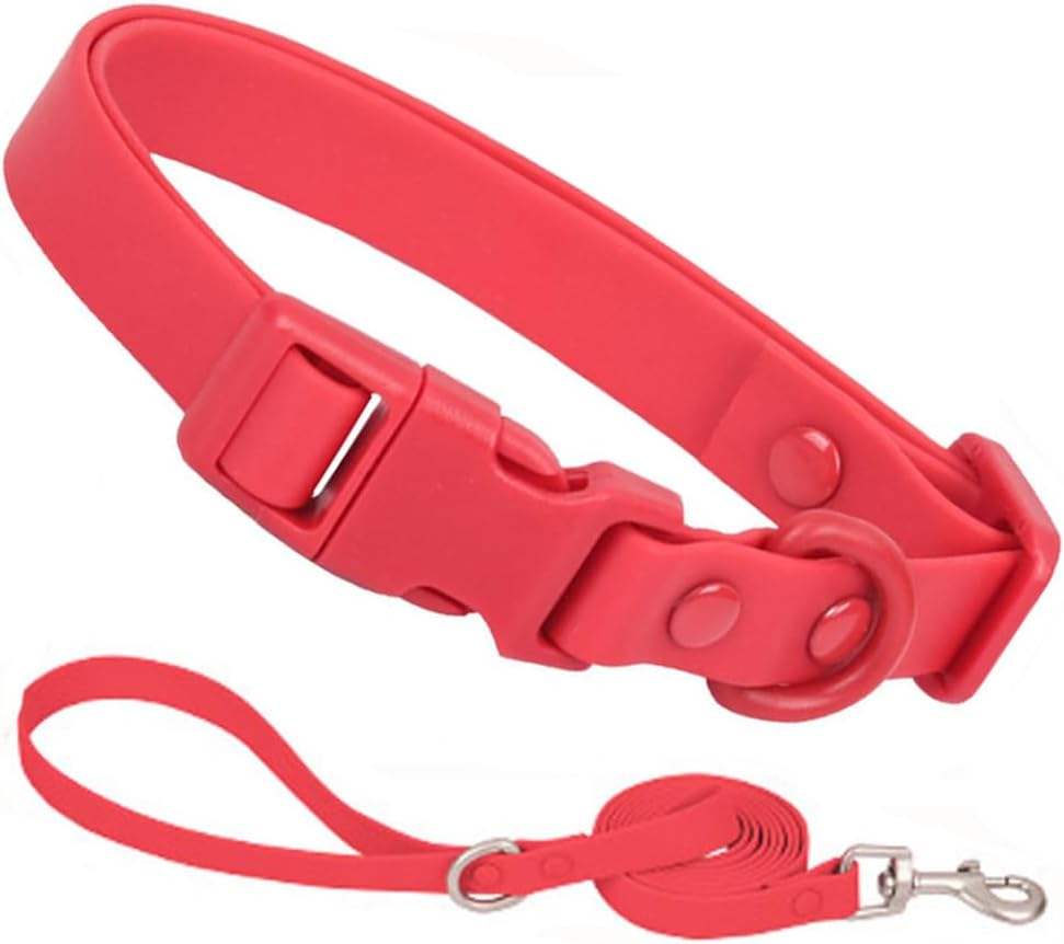 Red+leash