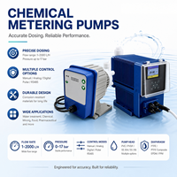 Pompe doseuse numérique à moteur pas à pas série DAA 30L/H 10Bar avec rapport de dilution 1:800 pour dosage chimique
