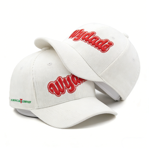 Casquette de baseball en velours côtelé brodée 3D vintage personnalisée, blanche, réglable, pour homme et femme, pour l'automne et l'hiver - Product Image 1