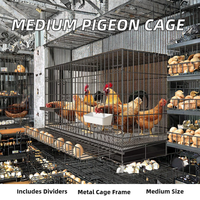Cages à pigeons simples en gros du fabricant, cloisons d'élevage, hangars de course, équipement de transport de taille moyenne pour poulets