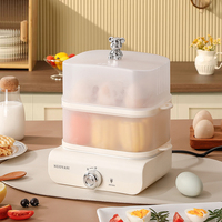 Cuiseur à œufs électrique multifonctionnel pour la maison et le dortoir, pot à œufs électrique pour le petit-déjeuner et marmite à œufs portable