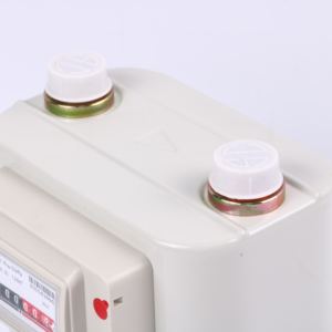 Meteran aliran <span class=keywords><strong>gas</strong></span> multifungsi grosir kustom regulator <span class=keywords><strong>gas</strong></span> lpg dengan meteran - Product Image 5