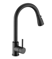 Robinet de cuisine extractible sans plomb en acier inoxydable 304 (SS30)