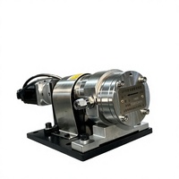 Pompe doseuse à engrenages de haute précision en fer/SUS304/SUS316 avec servomoteur pour distribution de liquides visqueux, fabriquée en Chine