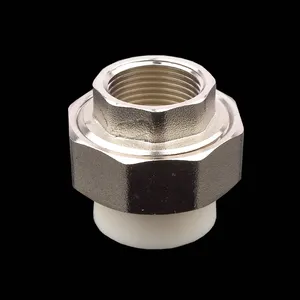 ユニオンPPRパイプ継手メスアダプター銅コネクター配管製造圧縮真ちゅうねじカスタマイズ可能